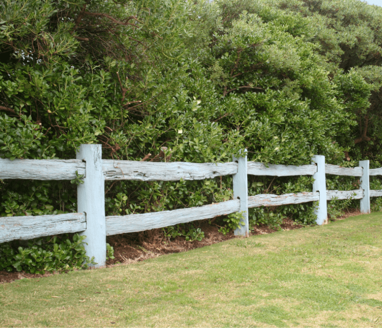 Budget-Friendly Fence Post Options for DIY Enthusiasts